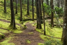 Imagen Parque Arví